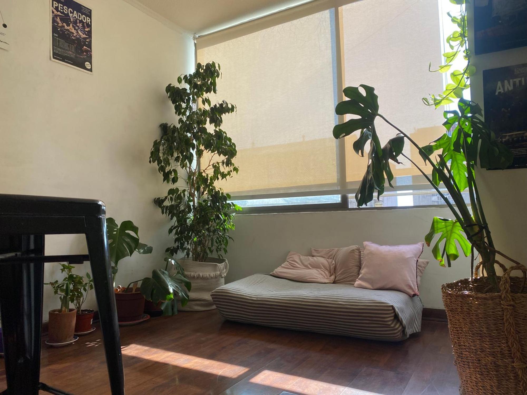 Departamento Completo Arriendo Apartamento *